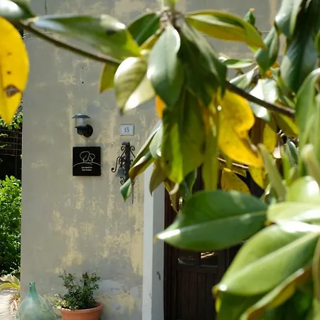 Casa Monteluro - Bed & Breakfast Tavullia