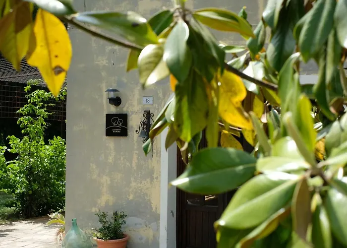 Casa Monteluro - Oda ve Kahvaltı Tavullia